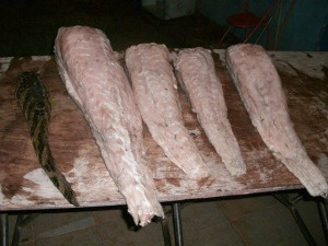Foram encontrados 27 quilos de carne de jacaré
 e 58 quilos de pescado. - Crédito: Foto: Divulgação/PMA