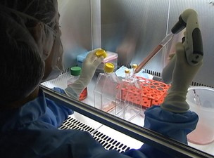 Células usadas no tratamento podem se
transformar em tecido - Crédito: Foto: Reprodução/TV Globo
