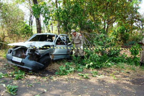 Jovem Bate Carro Em árvore E Morre O Progresso