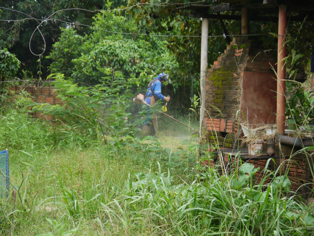 Força-tarefa contra o Aedes vistoriou ontem imóveis, fez limpeza e roçada na Vila Cachoeirinha. - Crédito: Foto: Max Rocha