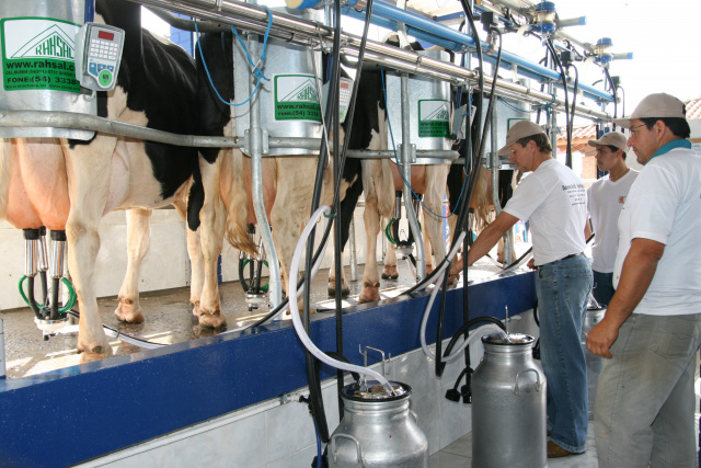 Produtores de MS aprendem estratégias para melhor qualidade leiteira. - Crédito: Divulgação