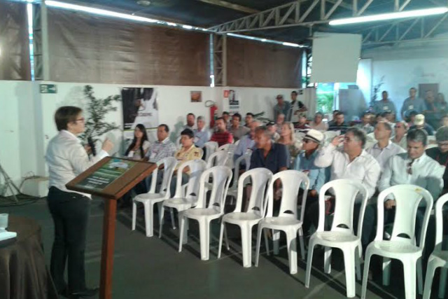 O setor produtivo rural de MS possui três grandes aliados, na avaliação da deputada Tereza Cristina. - Crédito: Foto: Divulgação