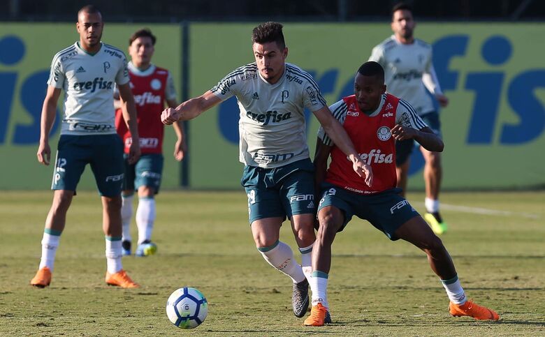 Palmeiras treinou nesta terça-feira visando o próximo jogo no Brasileirão - Crédito: foto: Divulgação/Palmeiras