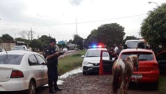 Brasileiros são presos na fronteira por maus tratos a animal - 