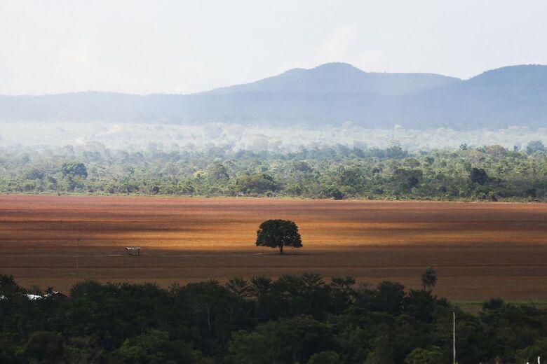 Desmatamento no Brasil cresce 13,72% - Crédito: Arquivo