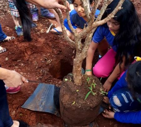 Projeto ‘Pomar nas Escolas’ inicia plantio de mudas nas escolas dos distritos - Crédito: Divulgação/IMAN