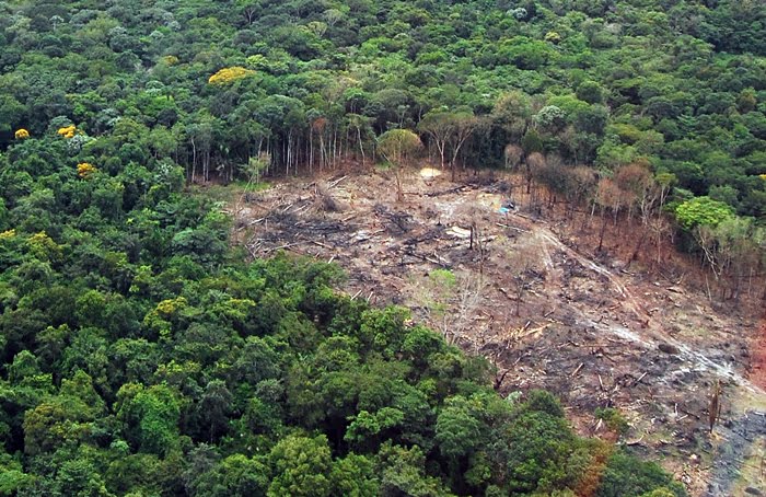 Brasil atinge meta de redução de emissões de carbono na área florestal - 