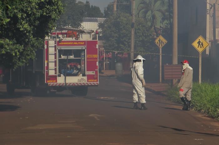 Bombeiros controlaram o ataque de abelhas que deixou vítimas em Nova Alvorada - Crédito: Rodrigo Rodrigues/Nova Alvorada News
