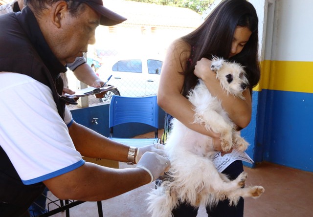 Podem vacinar cães e gatos a partir de quatro meses de idade - Crédito: Divulgação