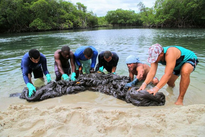 Mais de 525 toneladas de resíduos foram retiradas de praias com óleo - Crédito: Léo Domingos