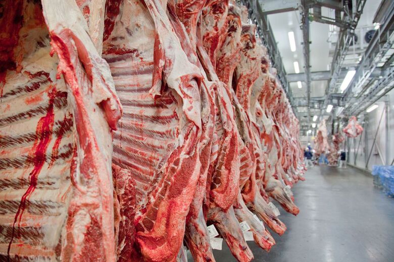 Exportações de carne podem fechar 2019 com resultado recorde - Crédito: Divulgação/Abiec