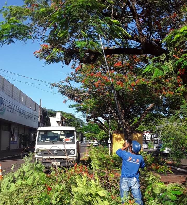 Prefeitura de Dourados poda árvores na região central - 