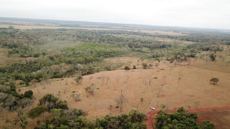Em MS o desmatamentos ilegal atingiu uma área de 2.867,30 hectares em 2019 - Crédito: Divulgação PMA