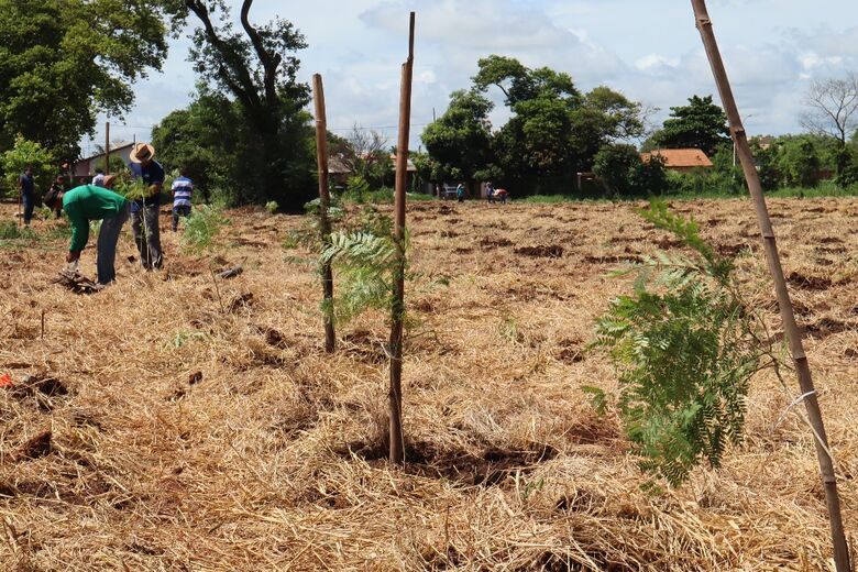 Dourados realiza plantio recorde de 1,7 mil árvores no Rego D’água - Crédito: A. Frota