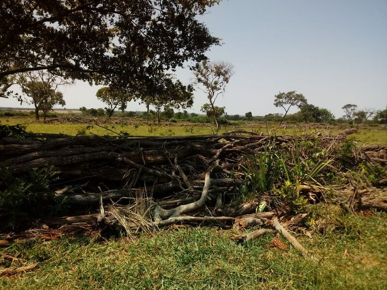 Por desmatamento ilegal de 15,15 hectares, PMA de Dourados autua infrator em R$ 16 mil - 