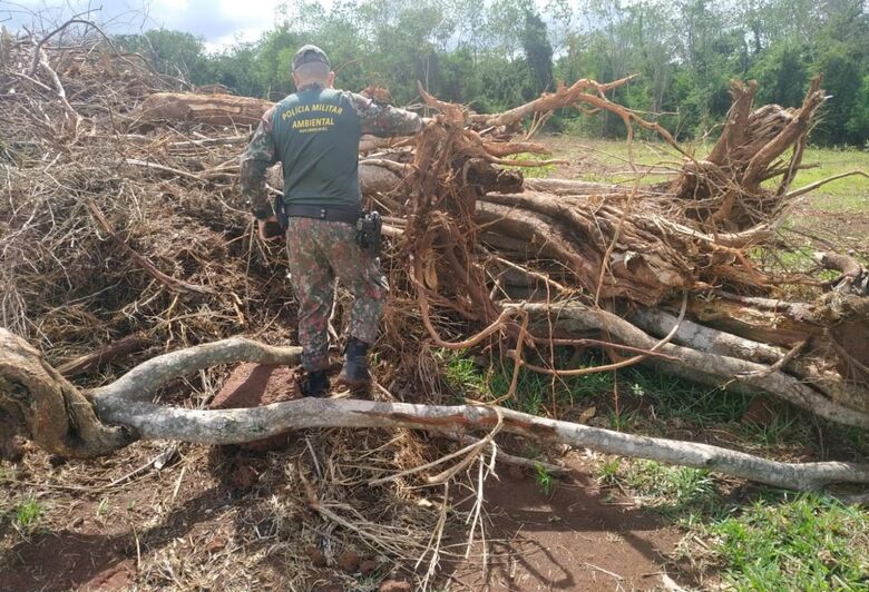 Infrator é autuado em R$ 42 mil pela Polícia Ambiental de Batayporã após desmatamento ilegal - Crédito: Divulgação