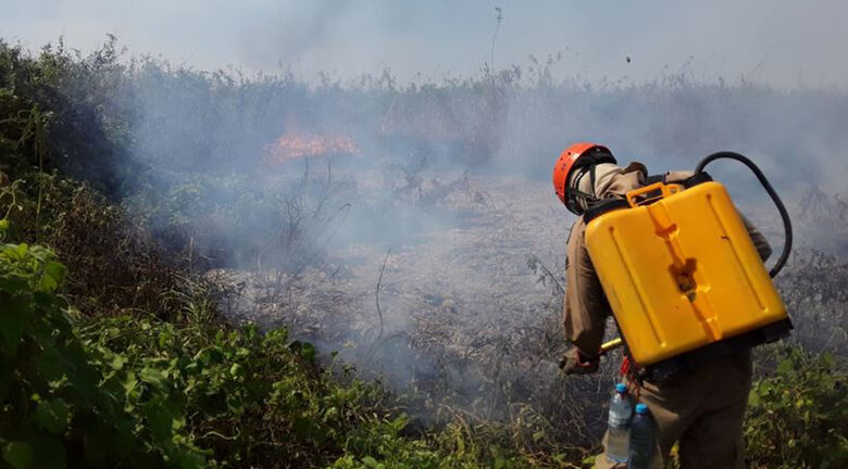 Operação Pantanal elimina maioria dos focos de calor; bombeiros monitoram área - 