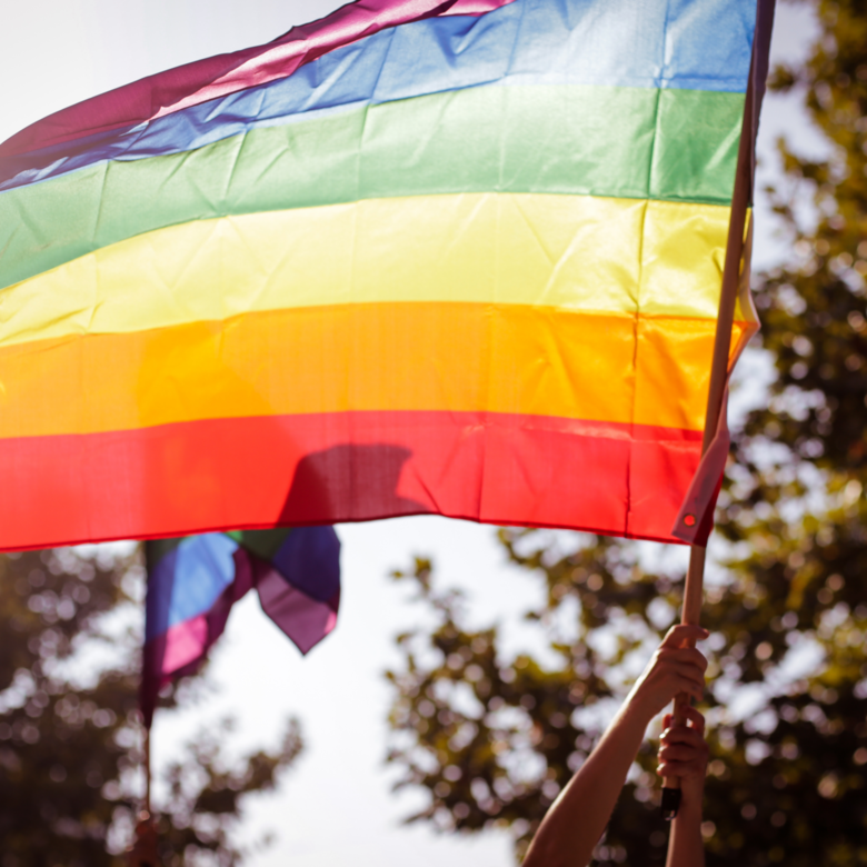MS promove Semana da Visibilidade Lésbica e Bissexual - 