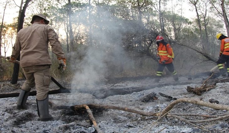 Governo reduz focos de incêndio no Pantanal de MS e controla fogo no Parque Estadual do Taquari - Crédito: Chico Ribeiro