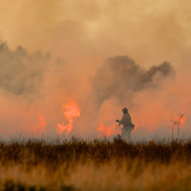 12% do Bioma Pantanal já foram consumidos pelas queimadas - 
