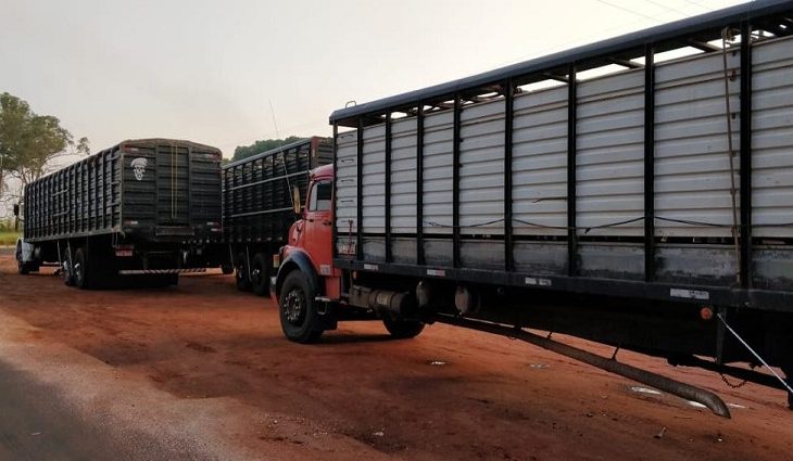 Durante fiscalização, Iagro e DOF apreendem três caminhões com animais e guia de trânsito falsificada - Crédito: Divulgação