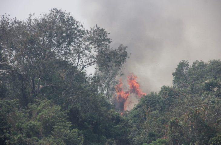 Operação Pantanal II adota nova estratégia para impedir avanço do fogo - 