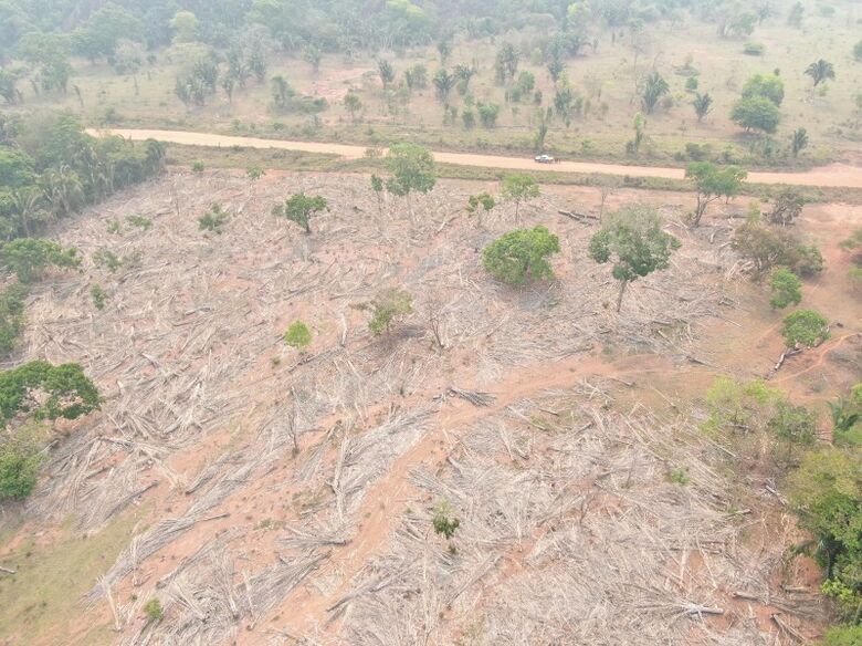 Fazendeiro paulista é autuado em R$ 27 mil por corte de árvores em área de proteção - 