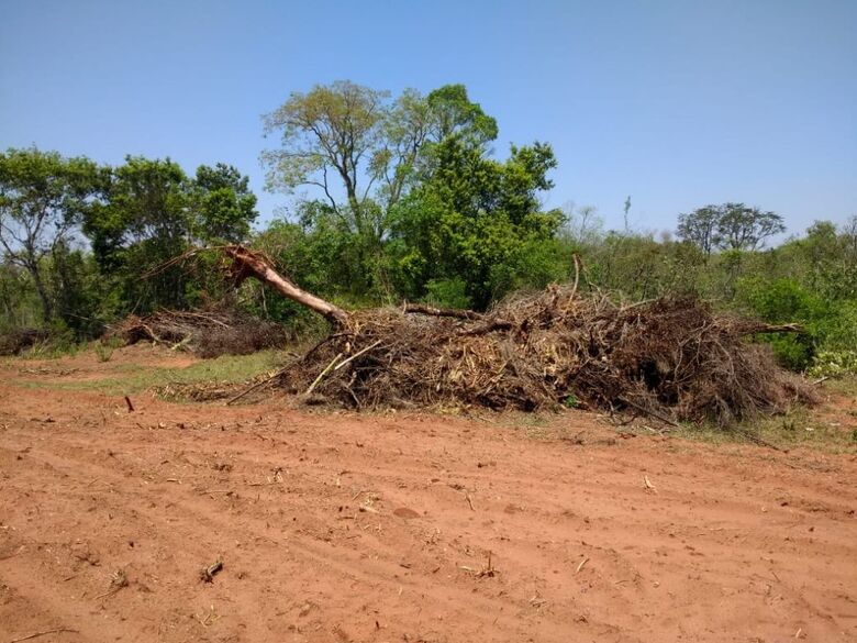 PMA de Amambai autua infrator em R$ 7,2 mil por desmatamento ilegal - 
