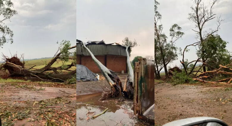 Tempestade com granizo surpreende e deixa rastro de destruição na região de Amambai - Crédito: Divulgação