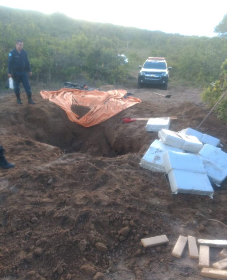Polícia encontra 400kg de maconha enterrados em fazenda; duas pessoas foram presas - Crédito: Divulgação/PM