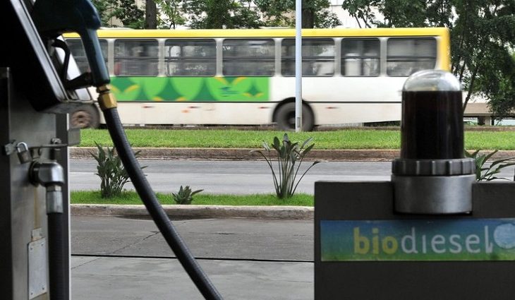 Selo Biocombustível Social incentiva produção de biodiesel por cooperativas; setor se expande em MS - Crédito: Divulgação