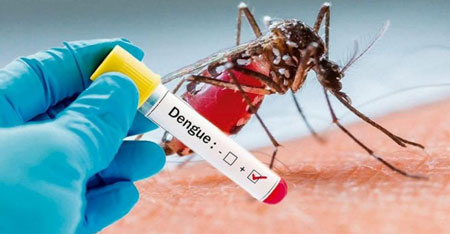 Pesquisadores da UFGD criam alternativas no combate ao Aedes aegypti - 