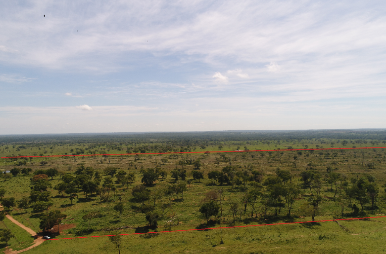 Proprietário rural é autuado em R$ 25 mil por desmatamento ilegal de vegetação nativa - 