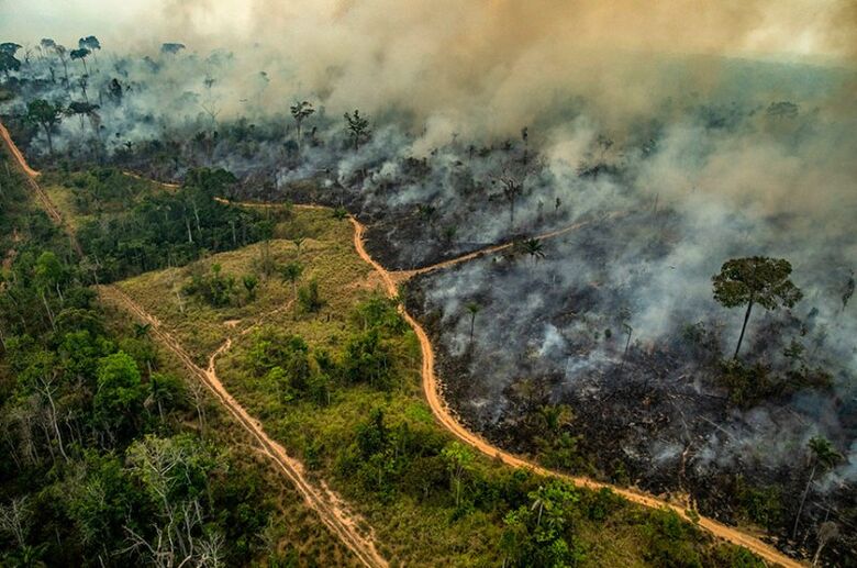 Diante de fogo recorde, especialistas temem que sociedade banalize tragédias ambientais - 