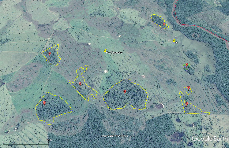 Imagem Google das oito áreas ainda com floresta (pontos em vermelho)