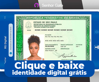 Modelo de carteira de identidade segue sem alterações no Estado nos  próximos meses - Portal do Estado do Rio Grande do Sul