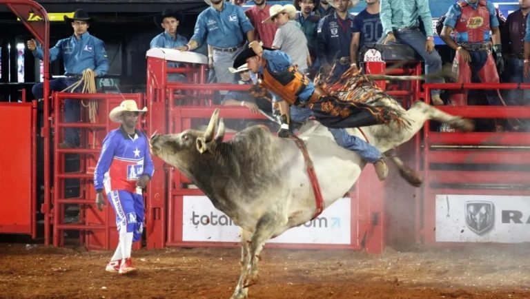 Festa de Peão traz shows gratuitos e rodeios em touros e cavalos