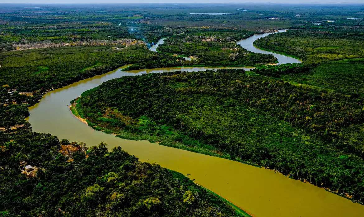 Pampa é ameaçado com rápido desaparecimento da fauna e flora