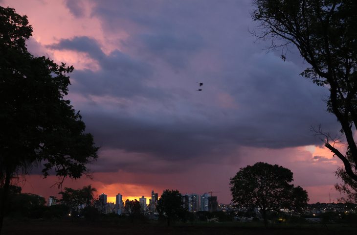 Quinta-feira tem temperaturas acima da média e município de MS