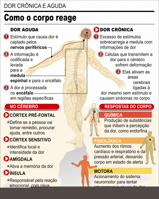 Ficar de mãos dadas sincroniza cérebros e reduz percepção da dor