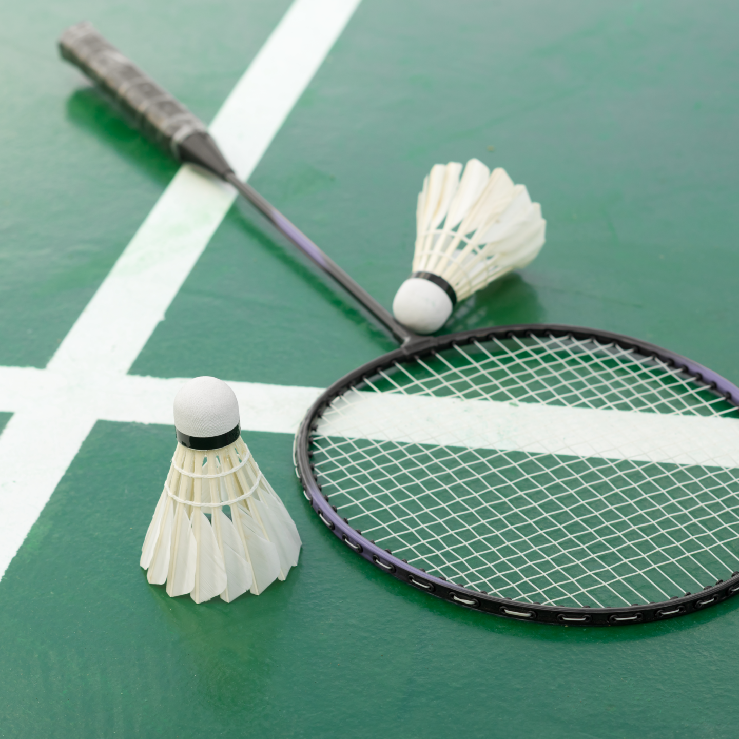 Curso de capacitação em badminton e parabadminton será realizado nesta  sexta-feira - O Progresso